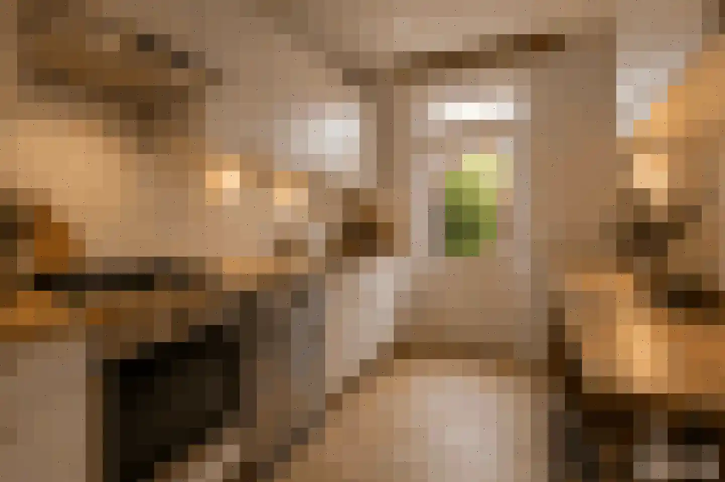 Tak van Poortvlietstraat 9 Oss thumbnail 14