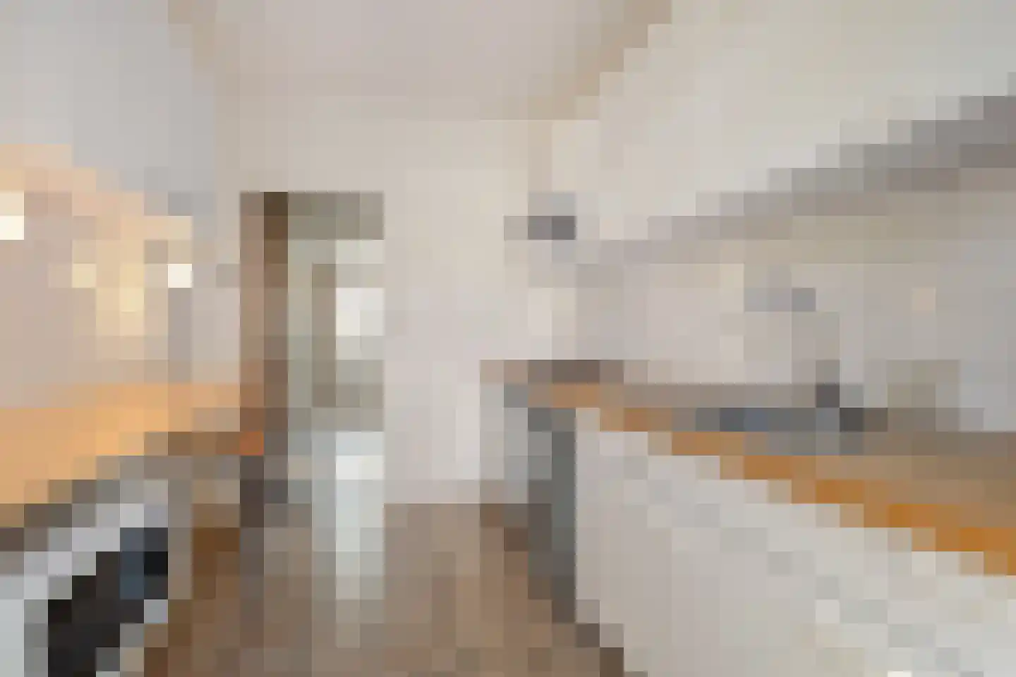 Tak van Poortvlietstraat 9 Oss thumbnail 15