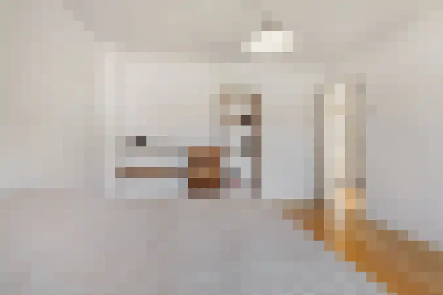 Tak van Poortvlietstraat 9 Oss thumbnail 21