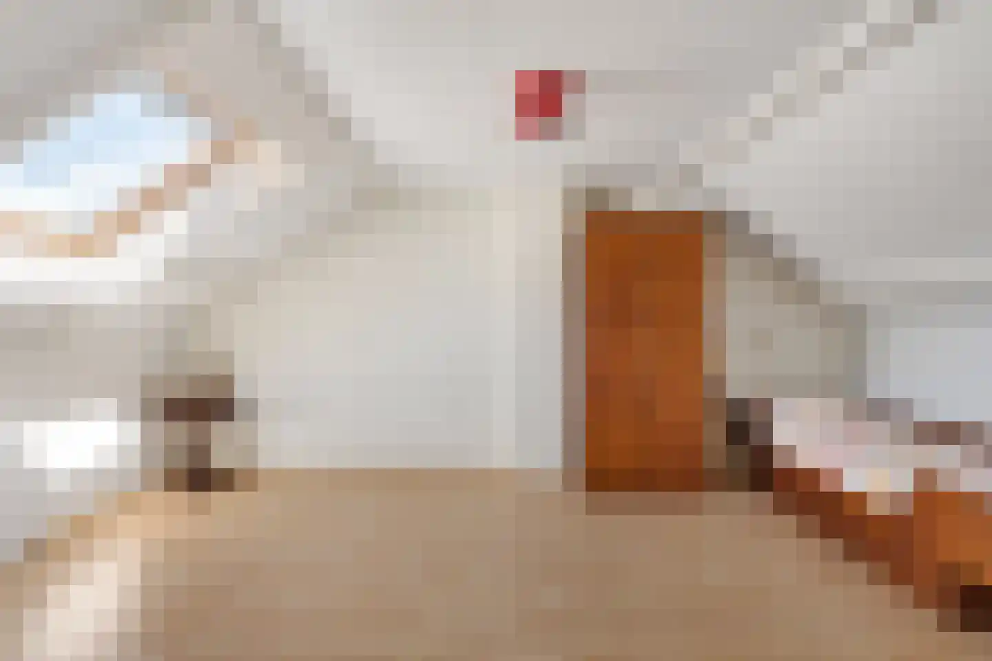 Tak van Poortvlietstraat 9 Oss thumbnail 33