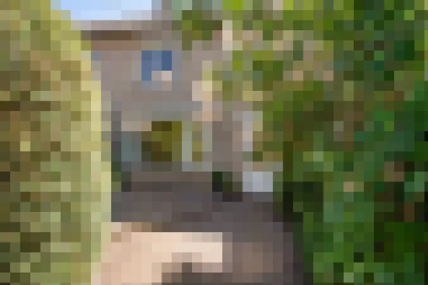 Tak van Poortvlietstraat 9 Oss thumbnail 40