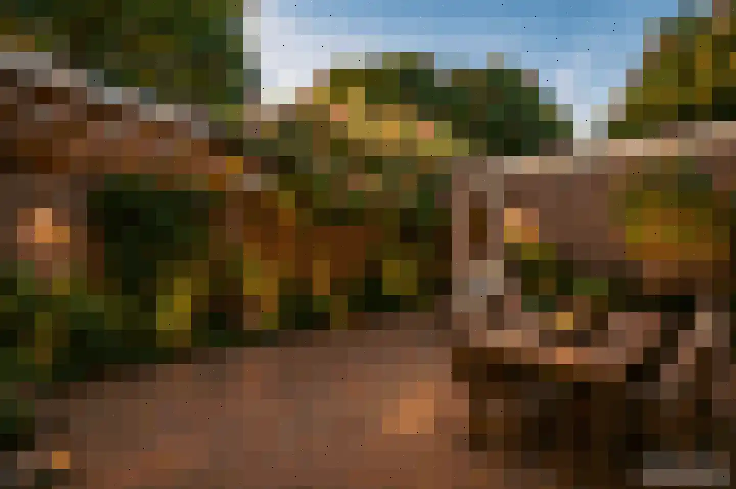 Tak van Poortvlietstraat 9 Oss thumbnail 43