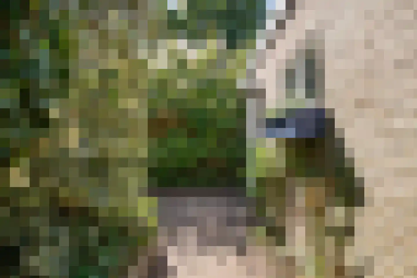 Tak van Poortvlietstraat 9 Oss thumbnail 44