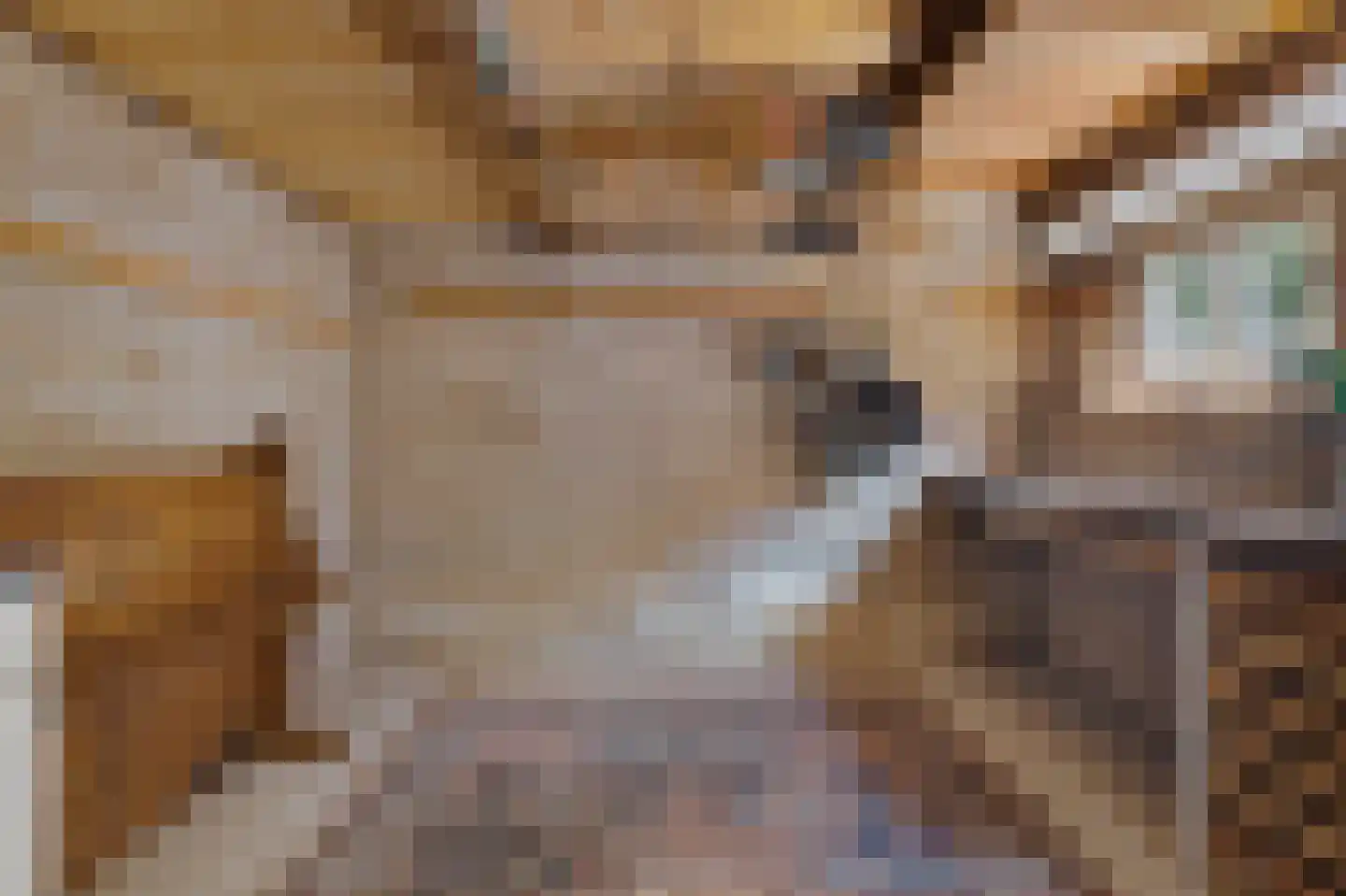 Tak van Poortvlietstraat 9 Oss thumbnail 46