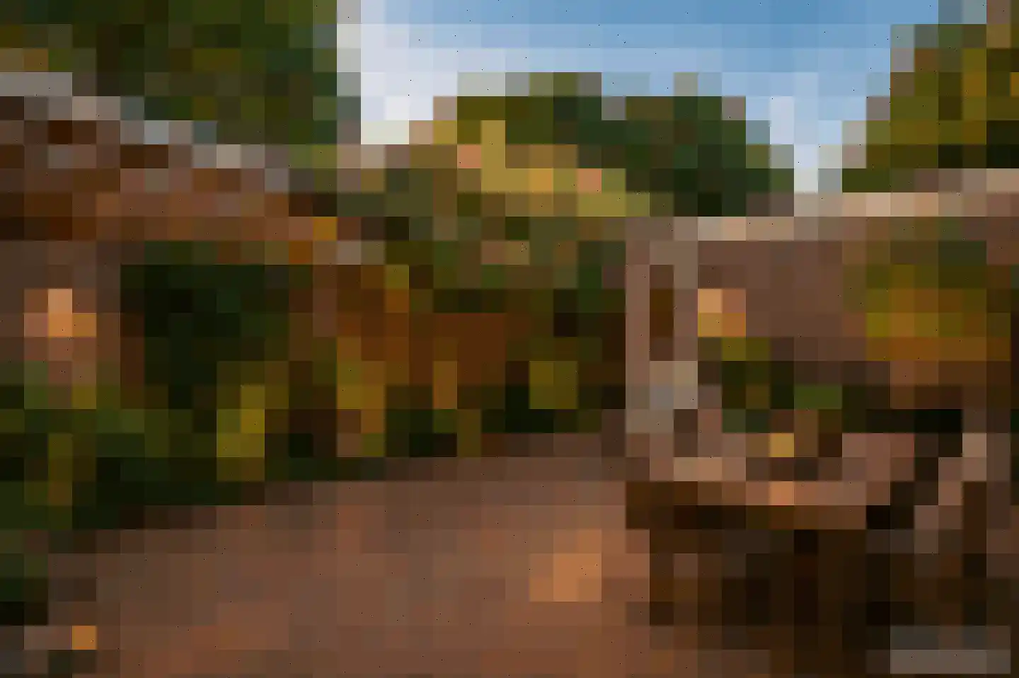 Tak van Poortvlietstraat 9 Oss thumbnail 5