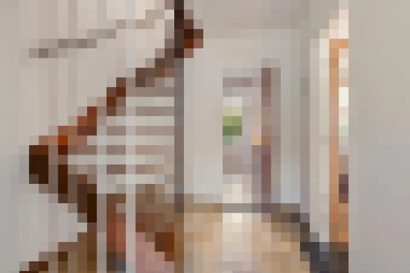 Tak van Poortvlietstraat 9 Oss thumbnail 9