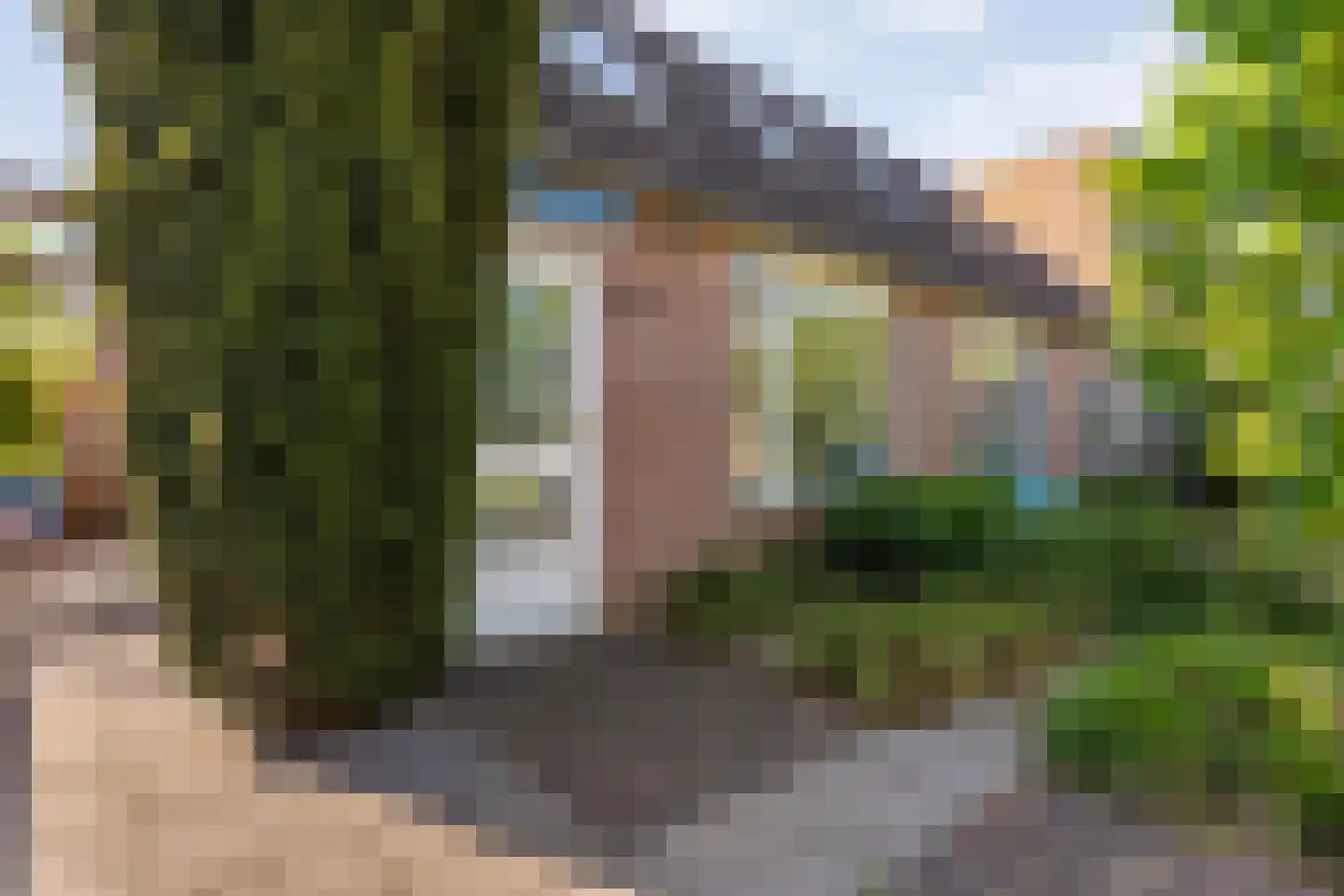 Tak van Poortvlietware 18 Zwolle thumbnail 11