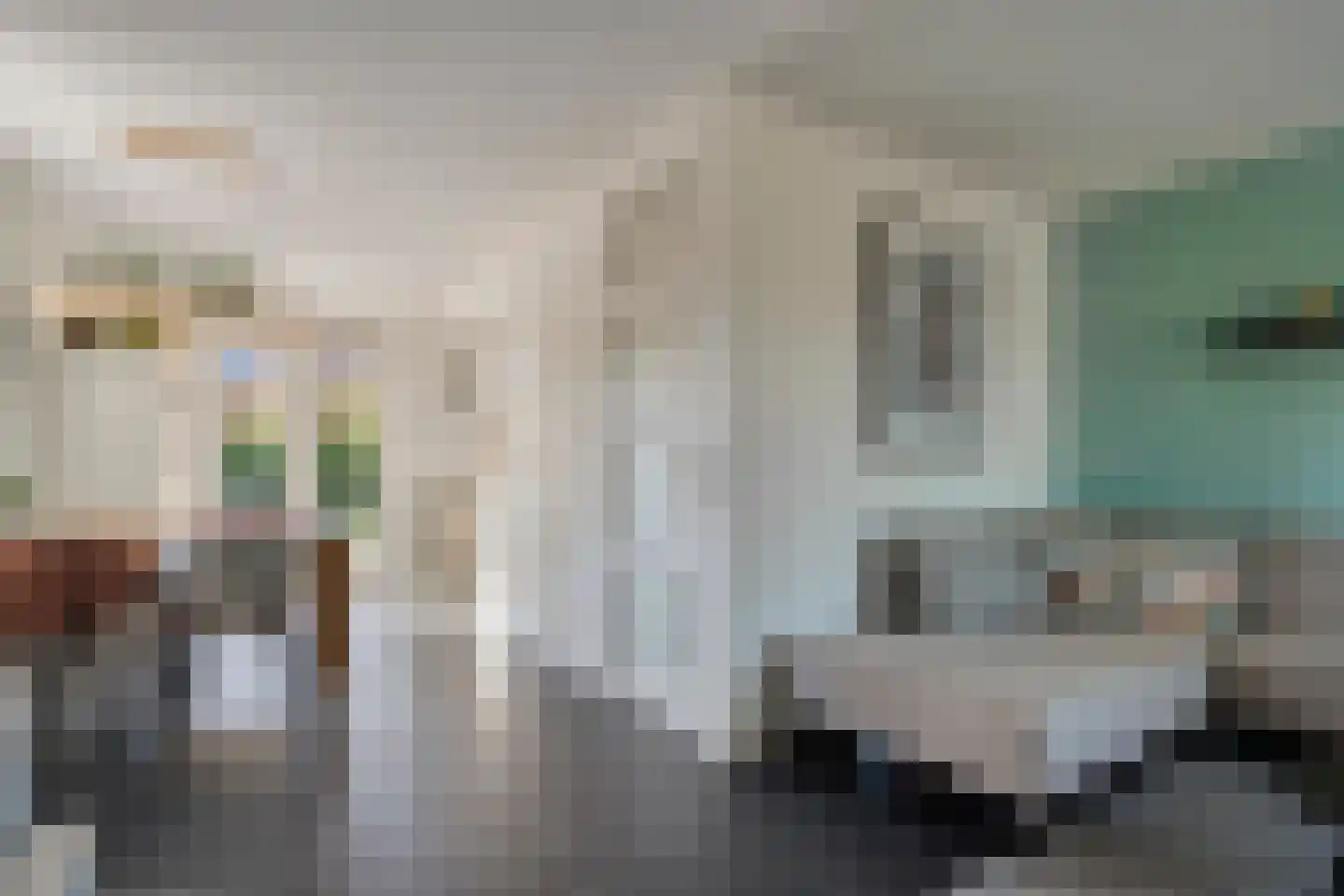 Tak van Poortvlietware 18 Zwolle thumbnail 14