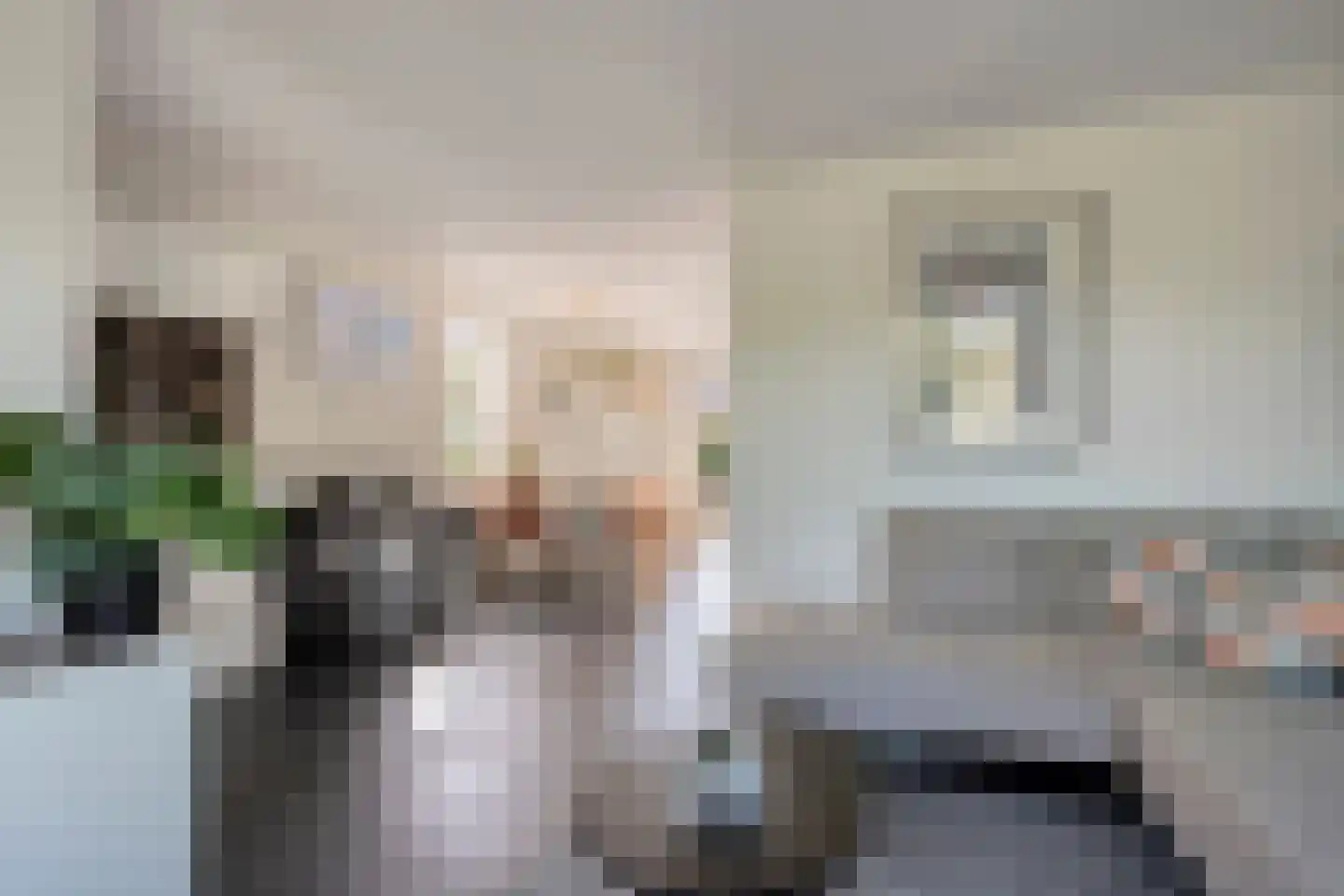 Tak van Poortvlietware 18 Zwolle thumbnail 16