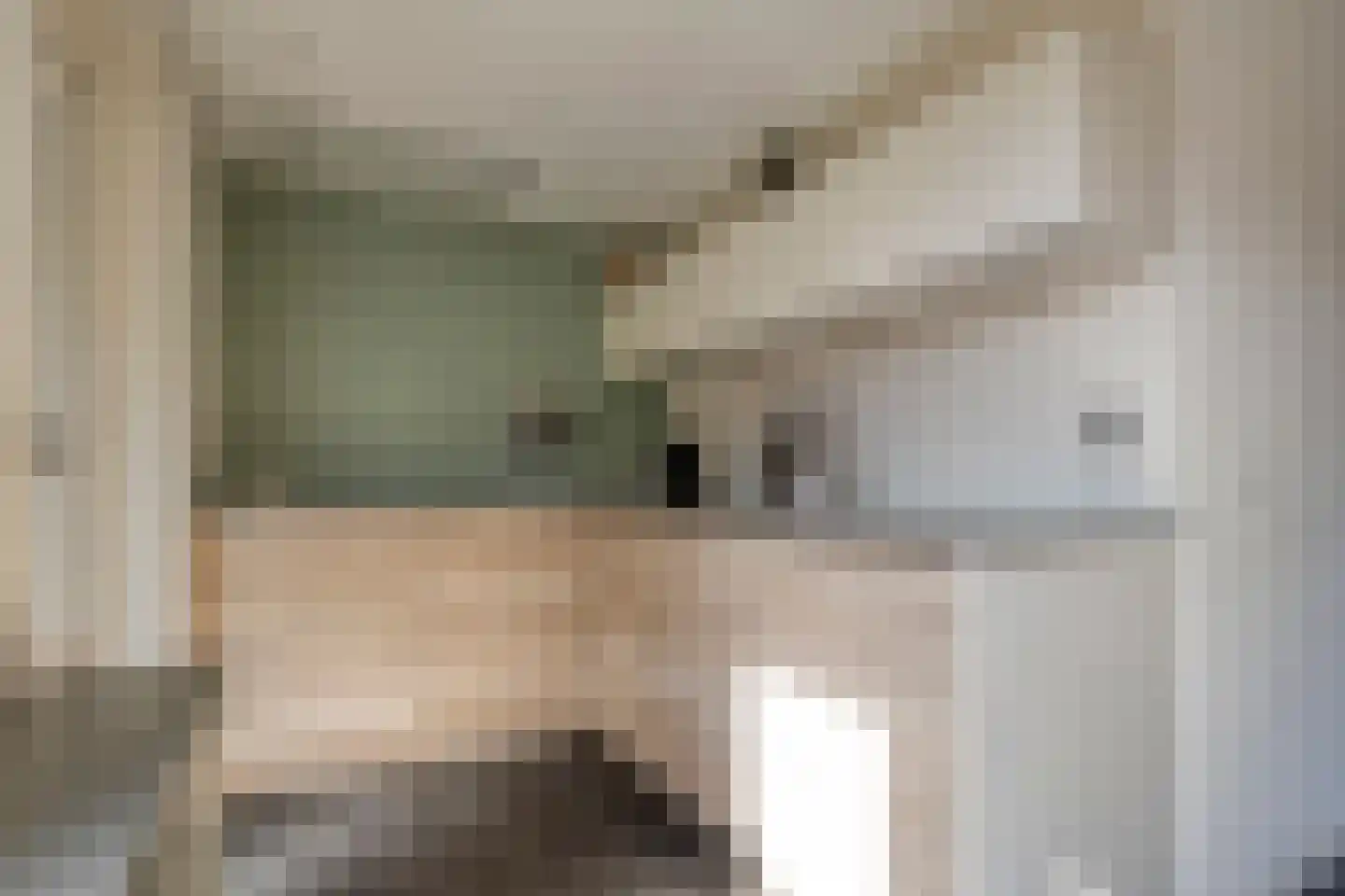 Tak van Poortvlietware 18 Zwolle thumbnail 20