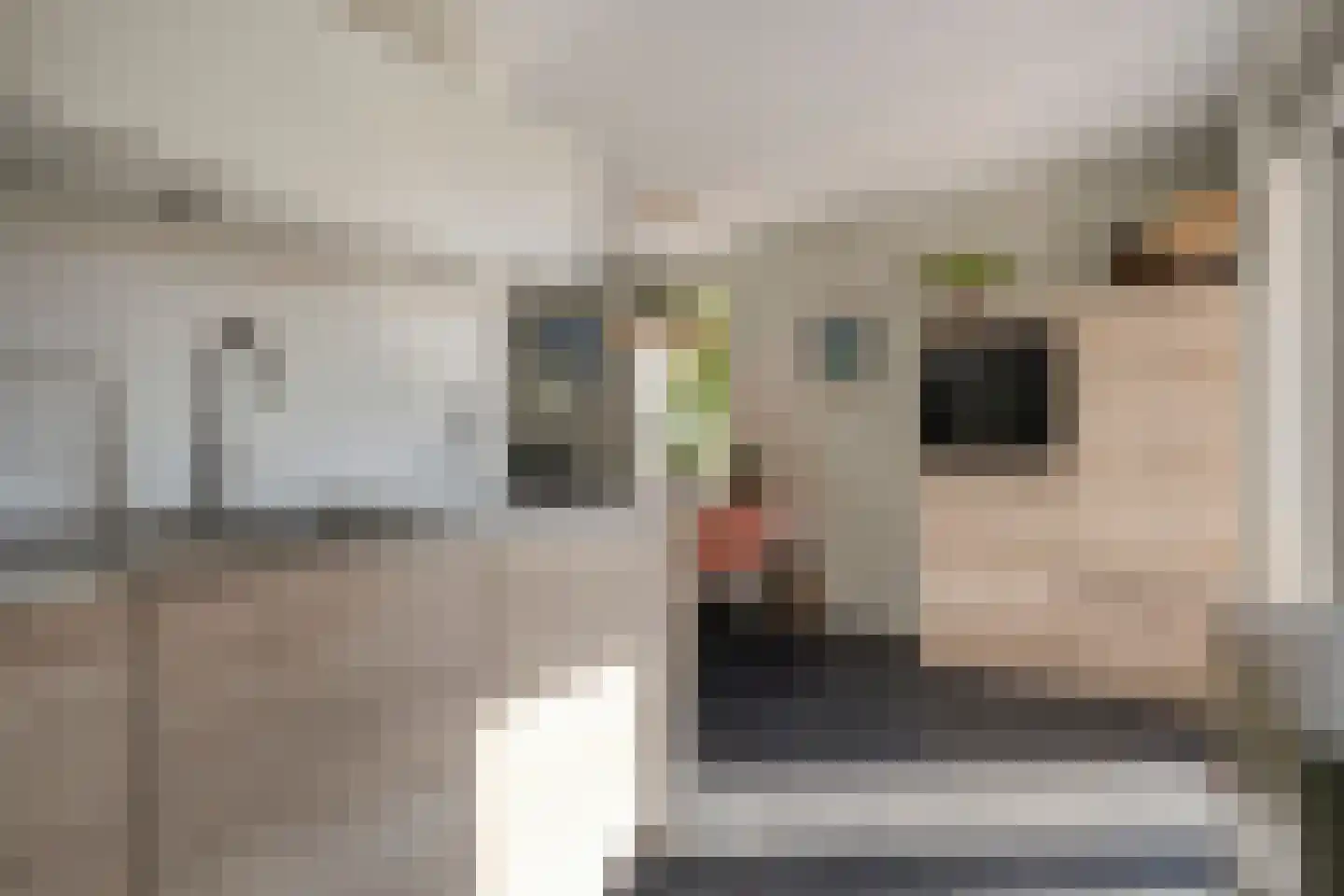 Tak van Poortvlietware 18 Zwolle thumbnail 21