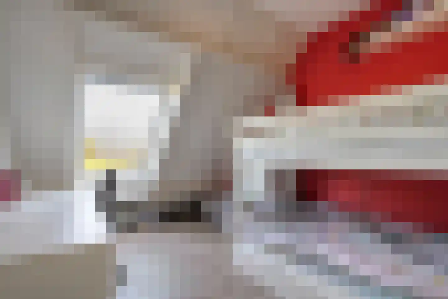 Tak van Poortvlietware 18 Zwolle thumbnail 30