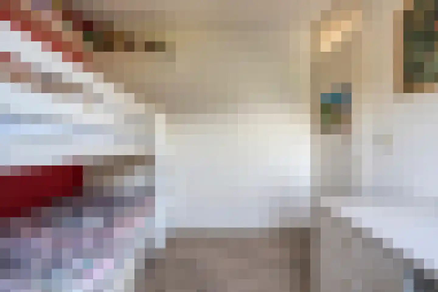 Tak van Poortvlietware 18 Zwolle thumbnail 31