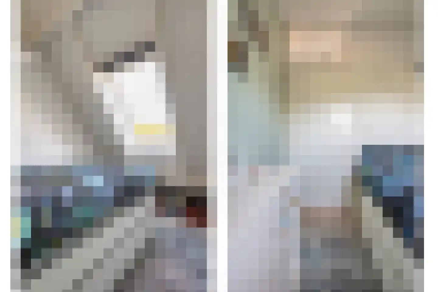 Tak van Poortvlietware 18 Zwolle thumbnail 32