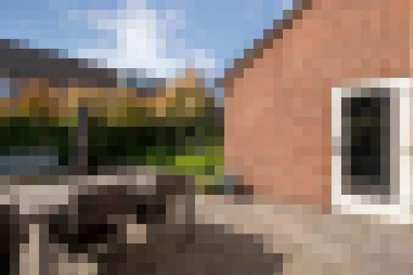 Tak van Poortvlietware 18 Zwolle thumbnail 35
