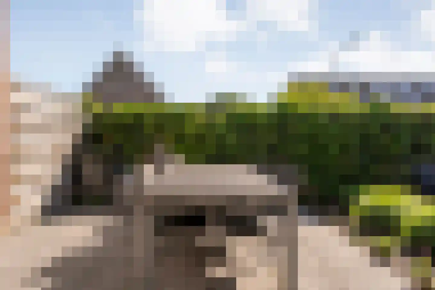 Tak van Poortvlietware 18 Zwolle thumbnail 36
