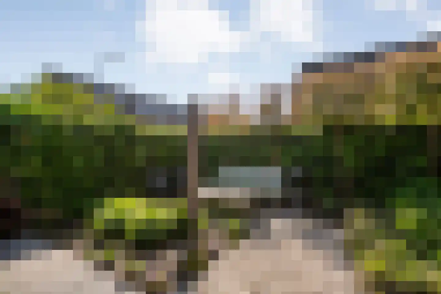 Tak van Poortvlietware 18 Zwolle thumbnail 37