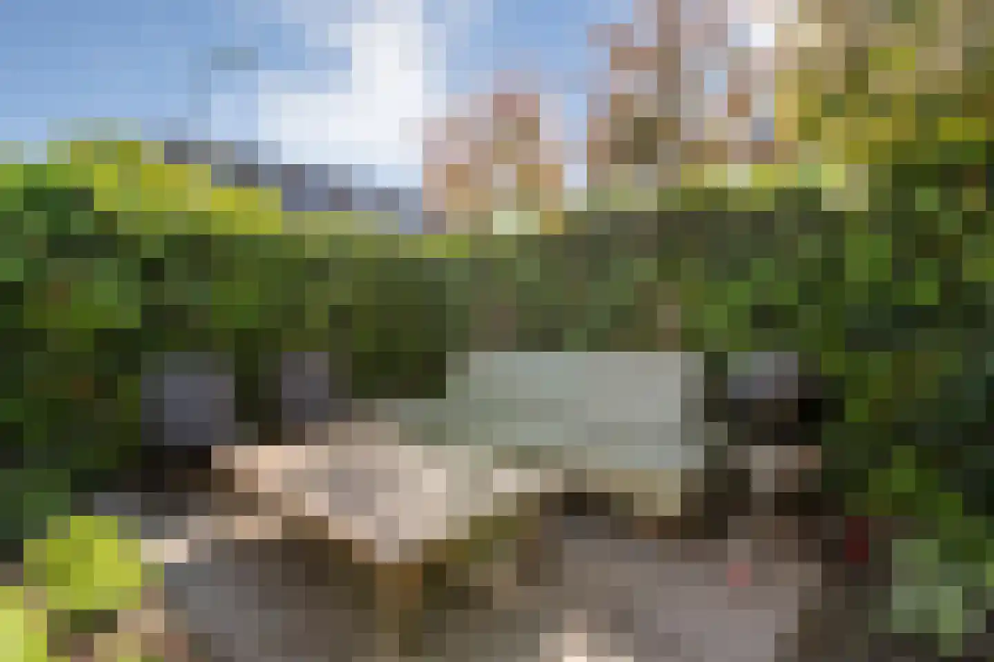 Tak van Poortvlietware 18 Zwolle thumbnail 39