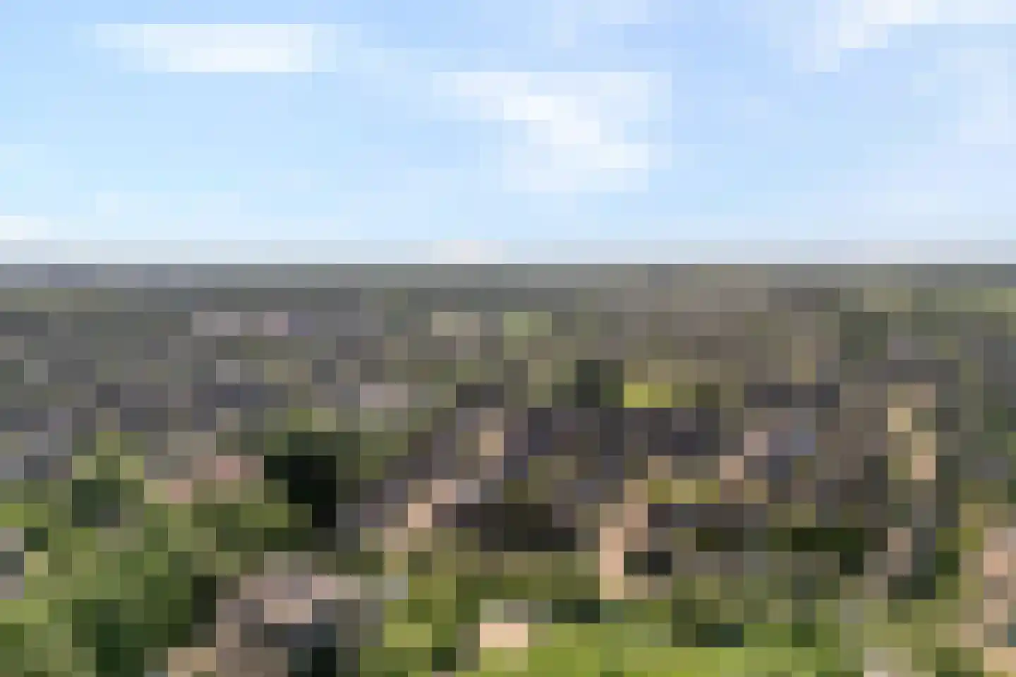 Tak van Poortvlietware 18 Zwolle thumbnail 4