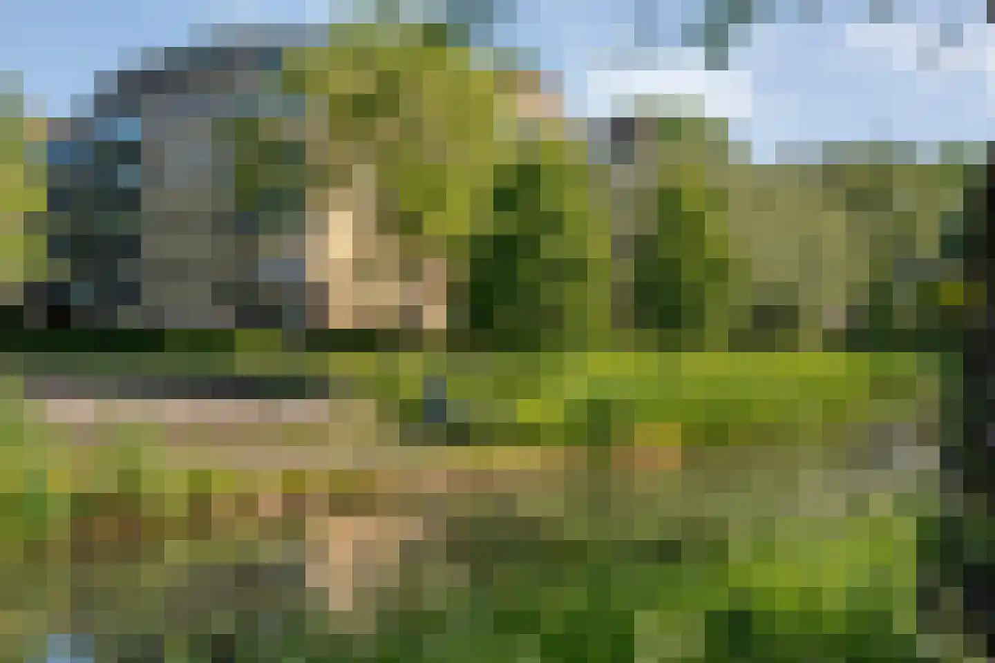 Tak van Poortvlietware 18 Zwolle thumbnail 8