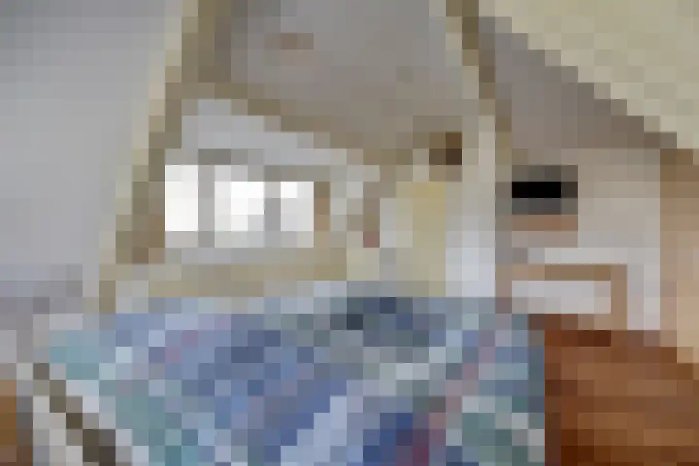 Takeling 29 Zeewolde thumbnail 27