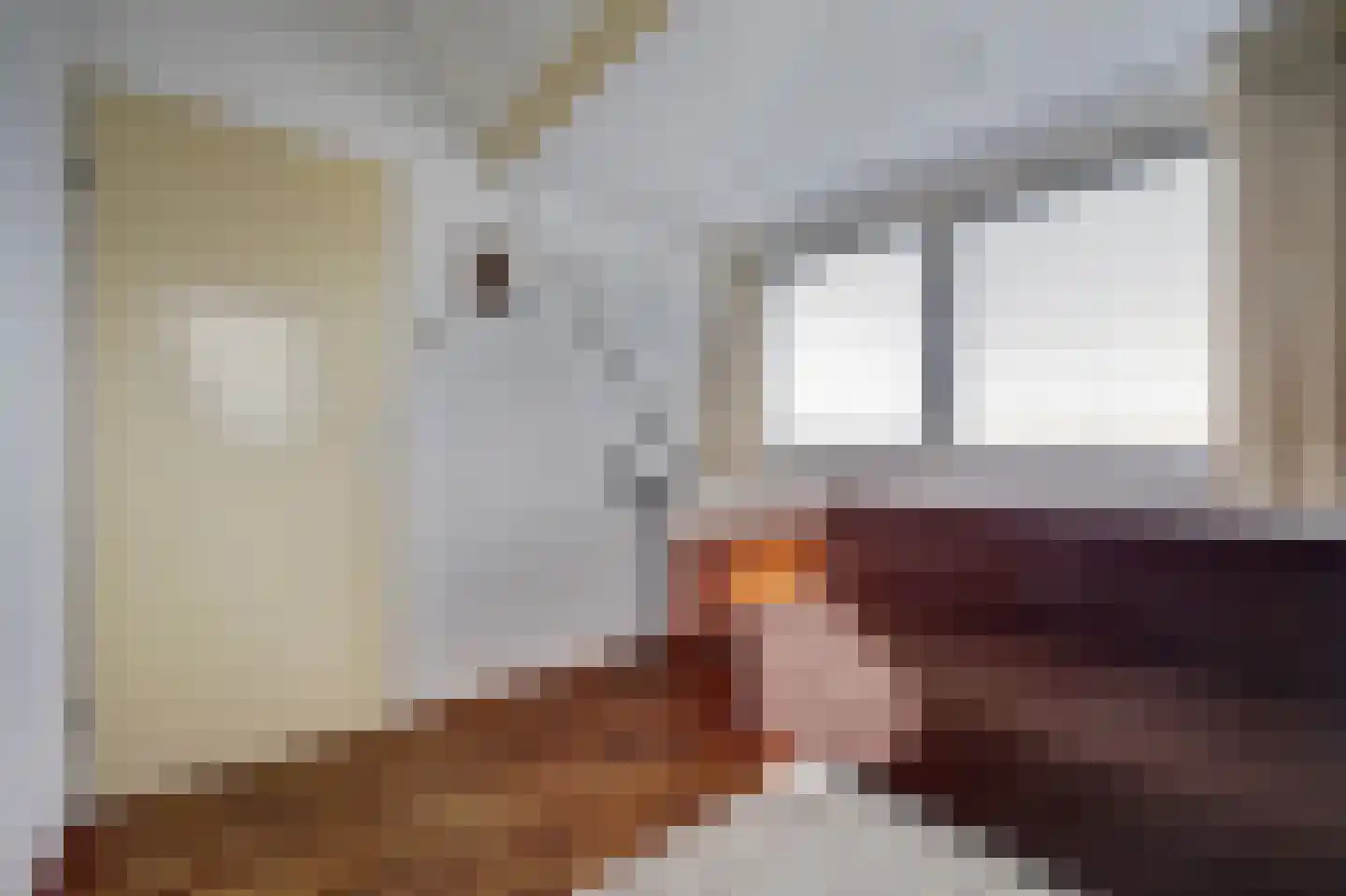 Takeling 29 Zeewolde thumbnail 30