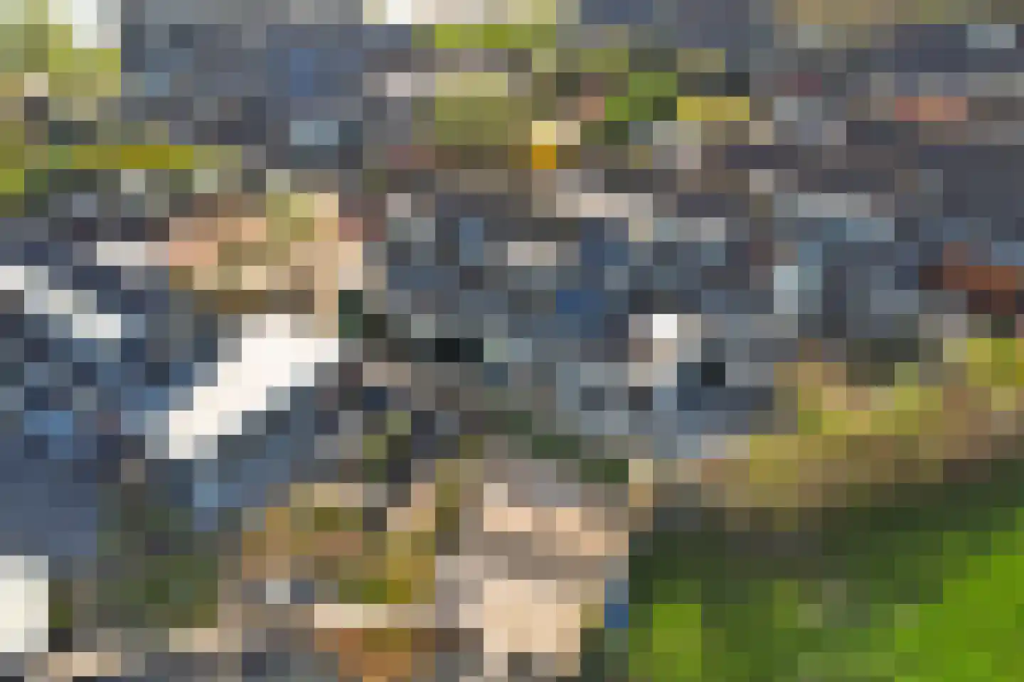 Takeling 29 Zeewolde thumbnail 41