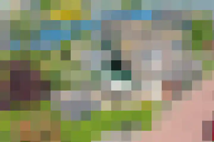 Takeling 53 Zeewolde