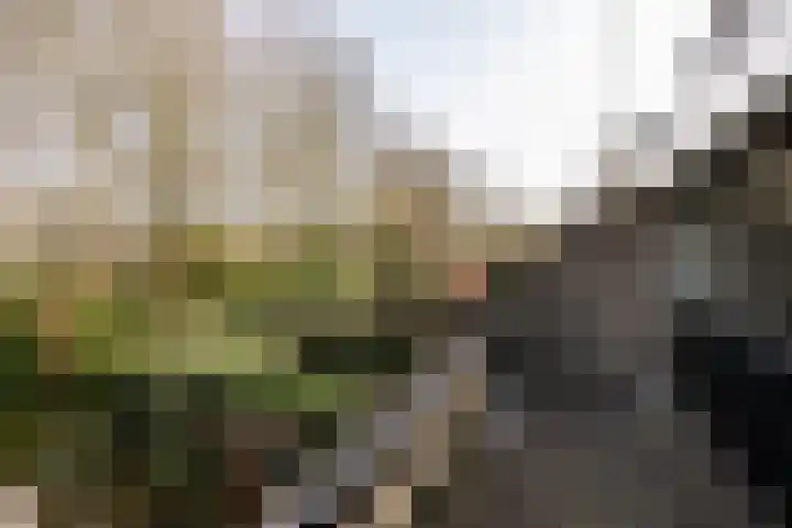 Takeling 53 Zeewolde thumbnail 16