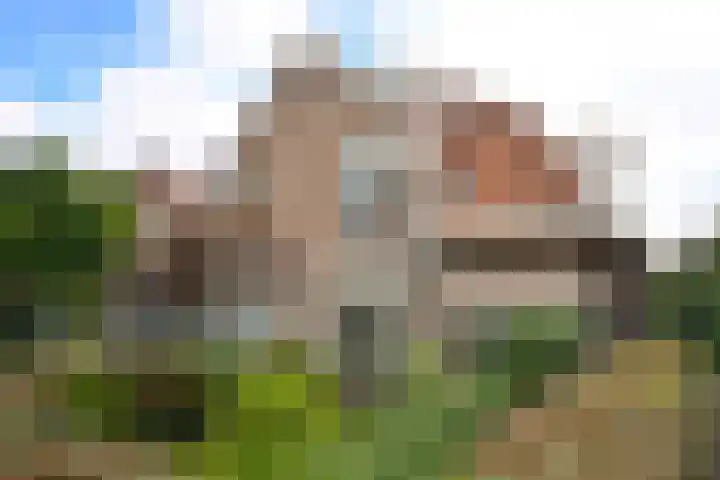 Takeling 53 Zeewolde thumbnail 21
