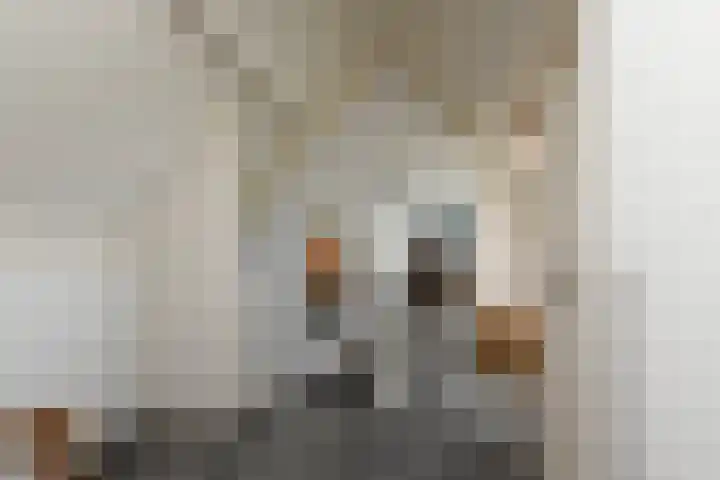 Takeling 53 Zeewolde thumbnail 23