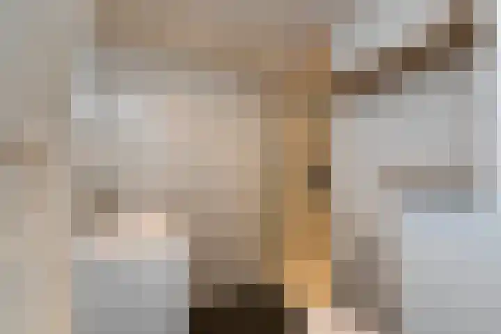 Takeling 53 Zeewolde thumbnail 25