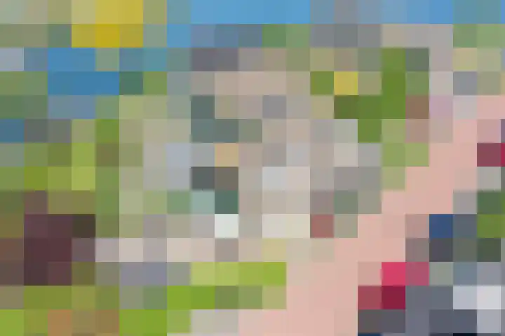 Takeling 53 Zeewolde thumbnail 33