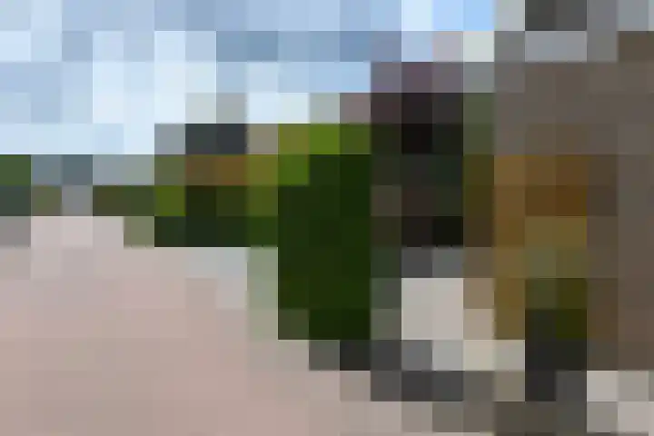 Takeling 53 Zeewolde thumbnail 38