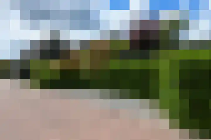 Takeling 53 Zeewolde thumbnail 39