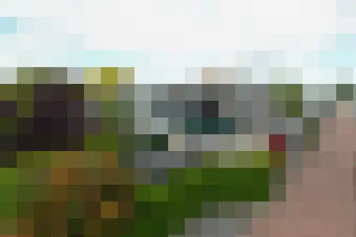 Takeling 53 Zeewolde thumbnail 45