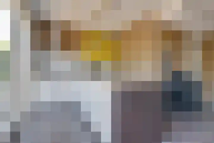 Takeling 53 Zeewolde thumbnail 7