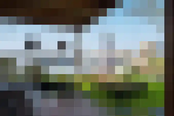 Takeling 59 Zeewolde