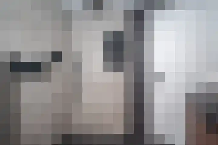 Takeling 59 Zeewolde thumbnail 32
