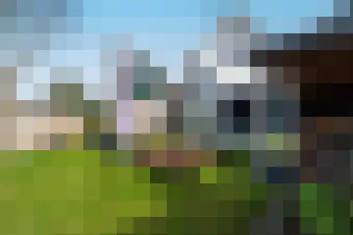 Takeling 59 Zeewolde thumbnail 35