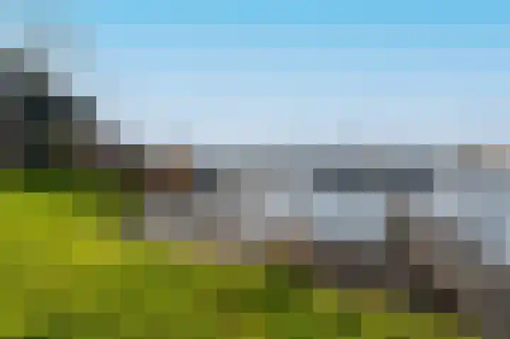 Takeling 59 Zeewolde thumbnail 37
