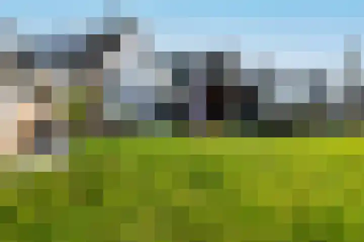 Takeling 59 Zeewolde thumbnail 40