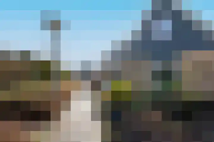 Takeling 59 Zeewolde thumbnail 42