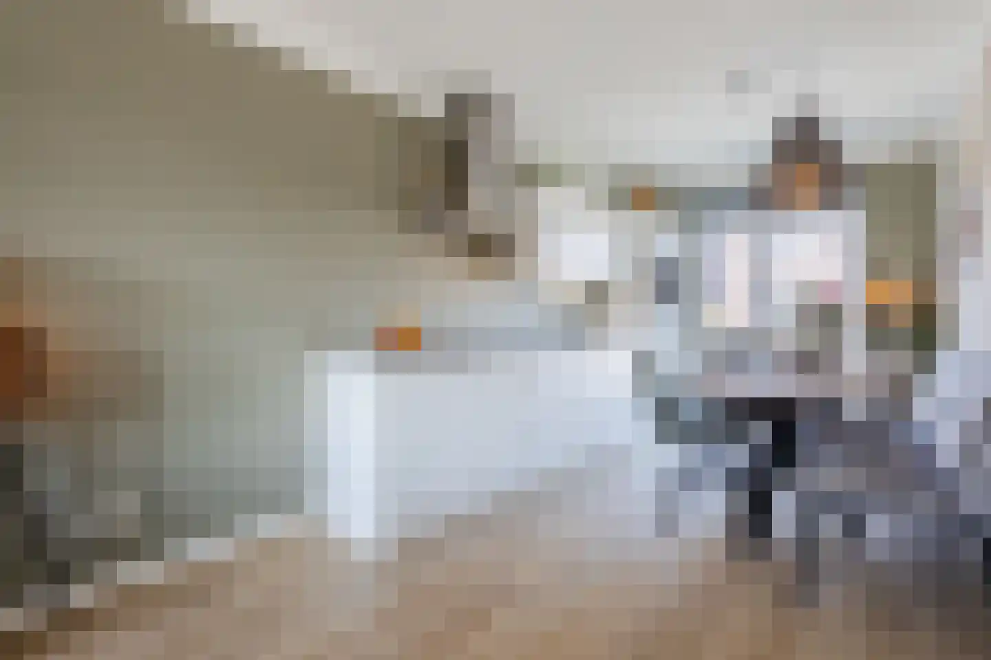 Takenshof 12 Balkbrug thumbnail 15
