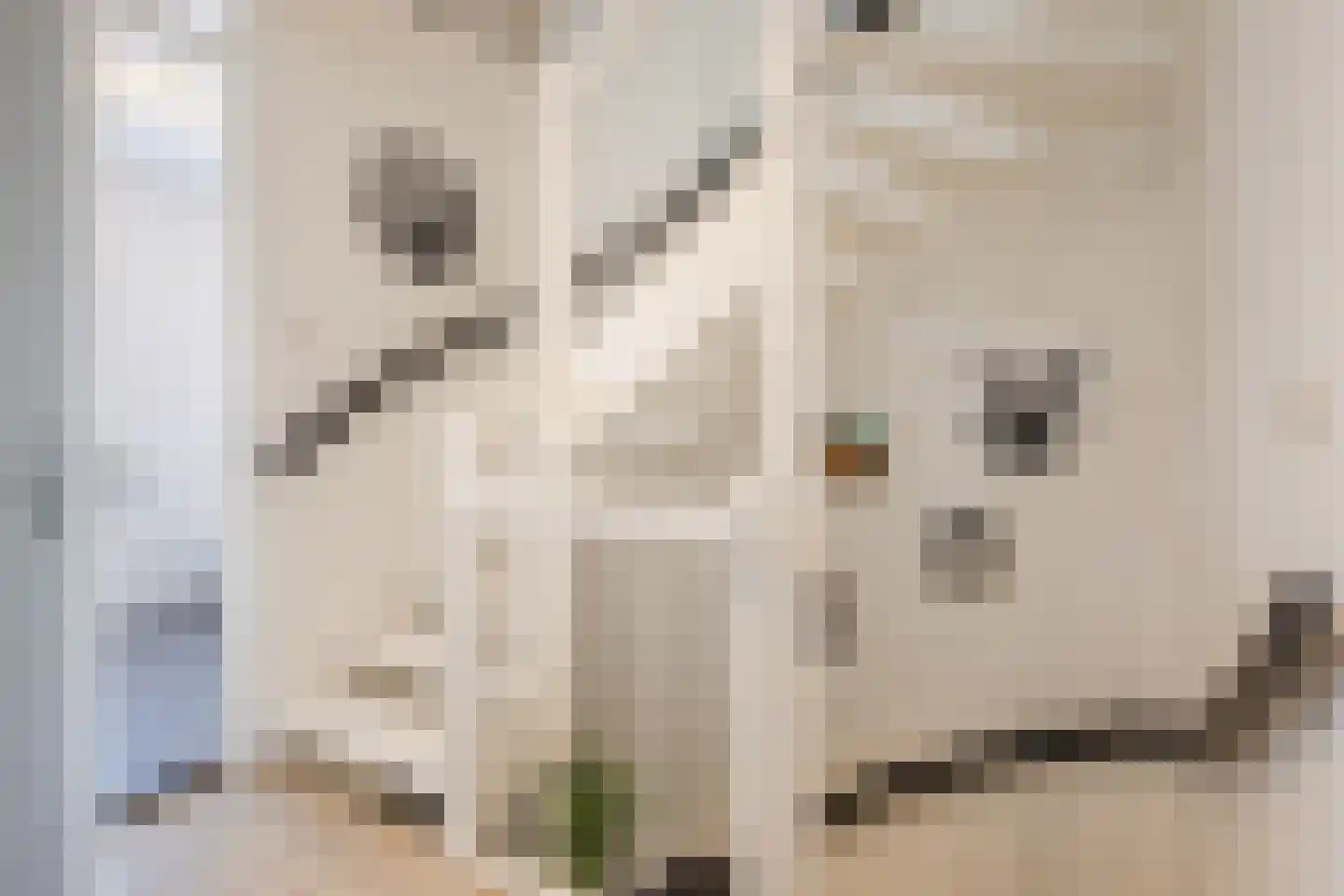 Takenshof 12 Balkbrug thumbnail 19