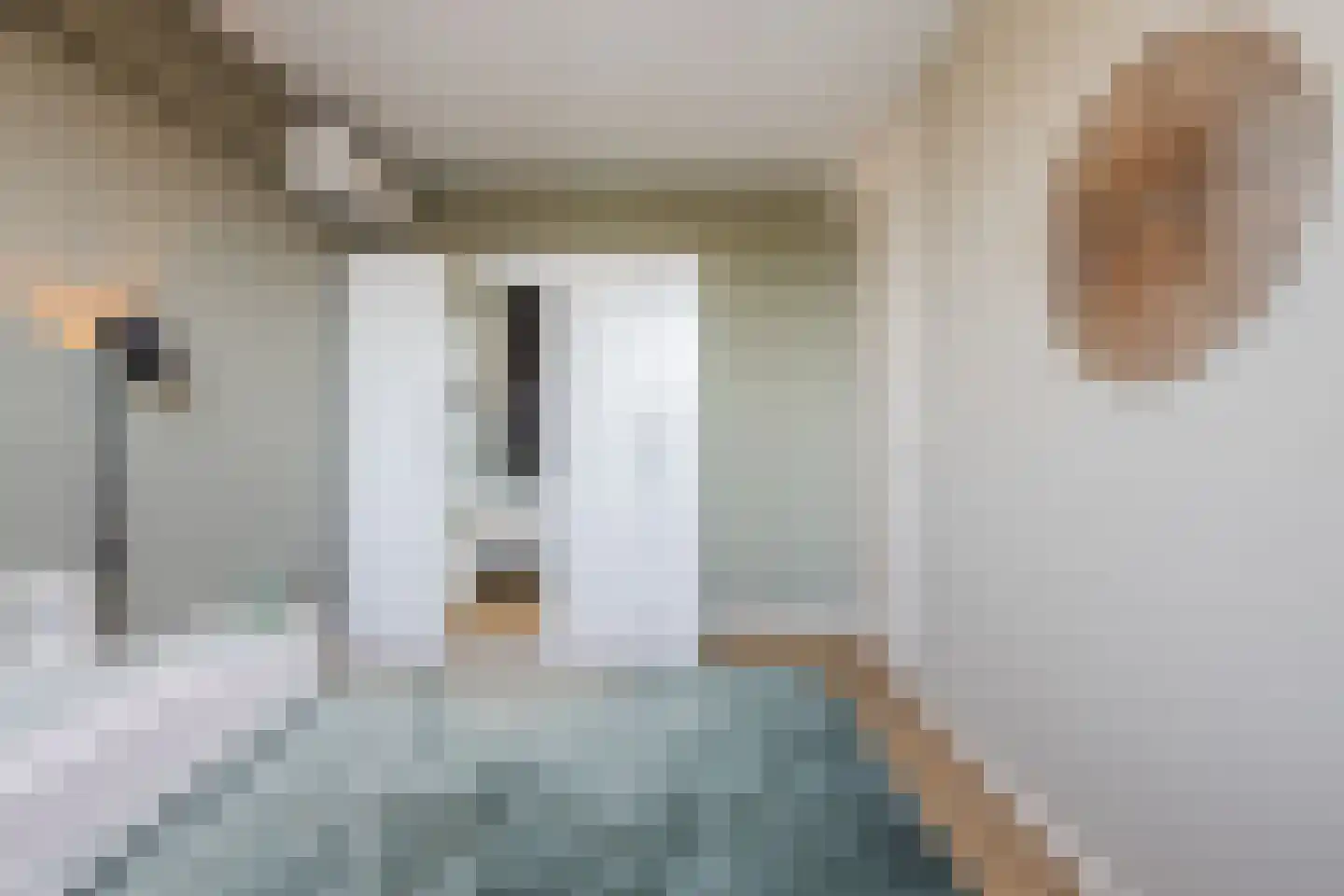Takenshof 12 Balkbrug thumbnail 22