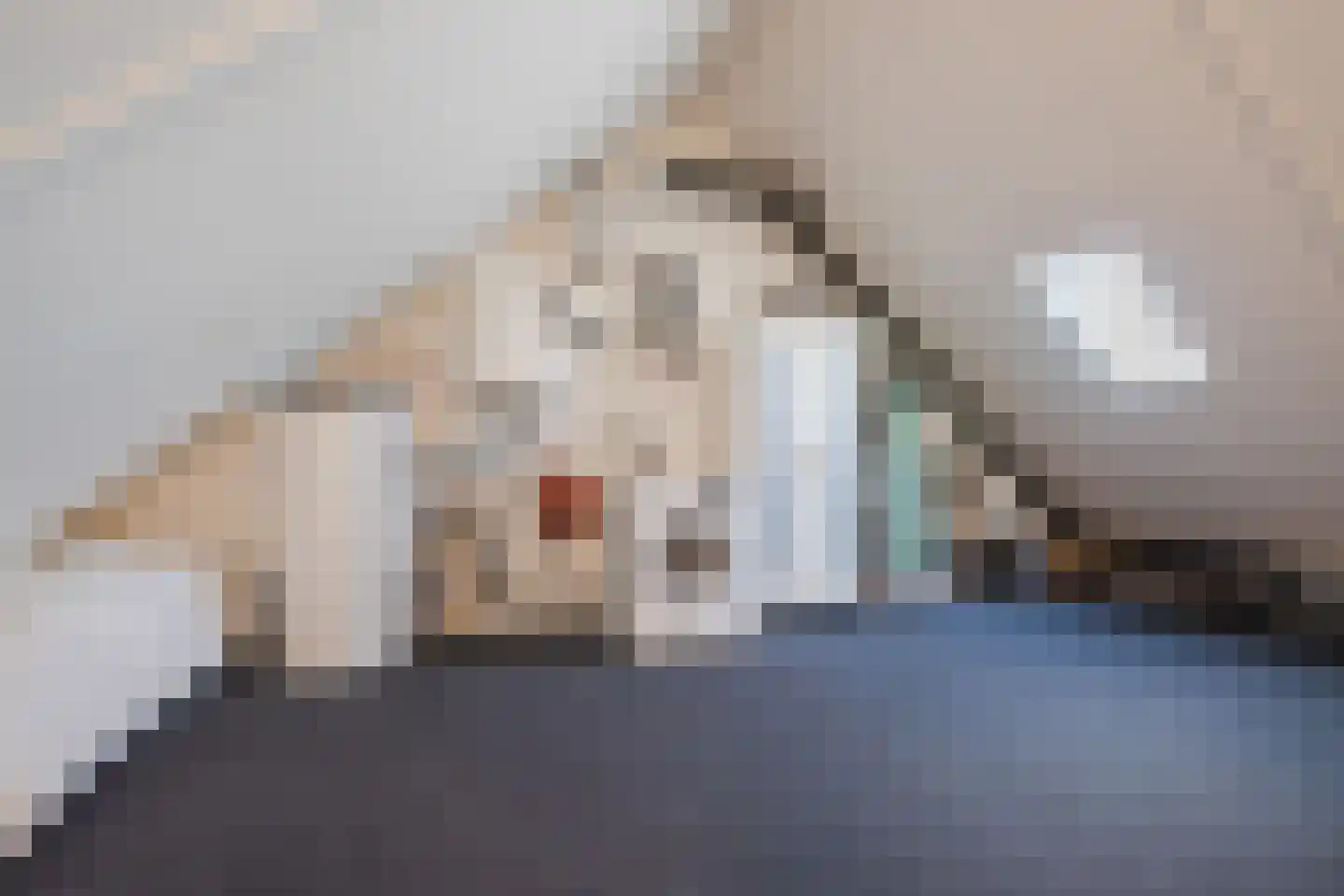 Takenshof 12 Balkbrug thumbnail 30