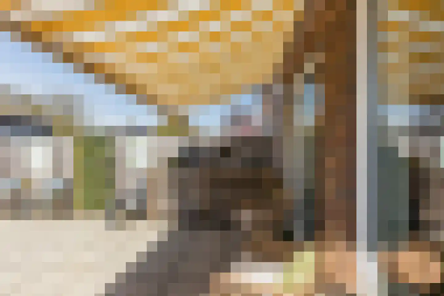Takenshof 12 Balkbrug thumbnail 33