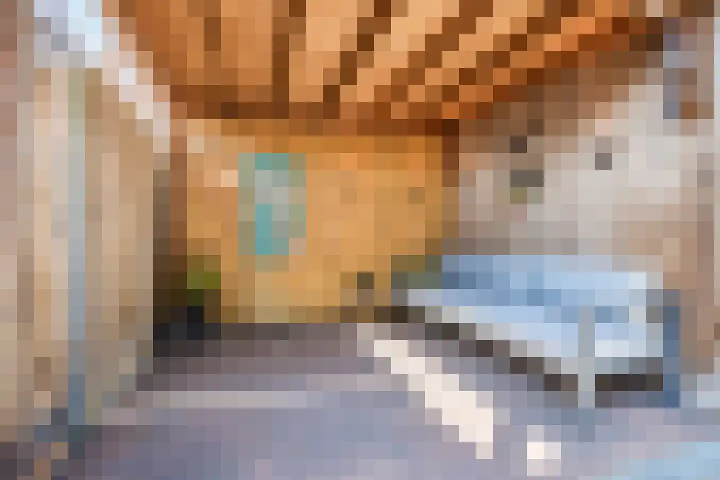 Takenshof 12 Balkbrug thumbnail 38