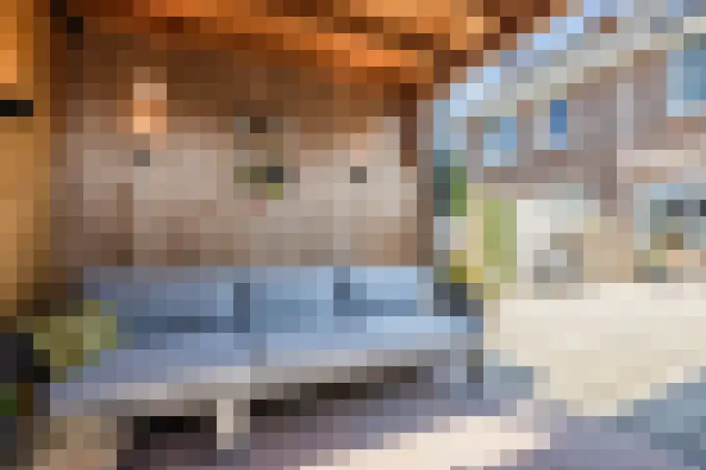 Takenshof 12 Balkbrug thumbnail 39